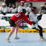 Deutsche Meisterschaft Box Lacrosse Damen und Herren